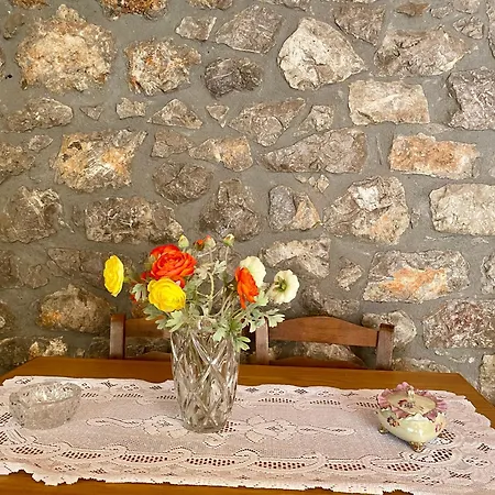 Pavlianis House